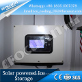 Foucusun solar powered containerized easy move and installation ice storage
